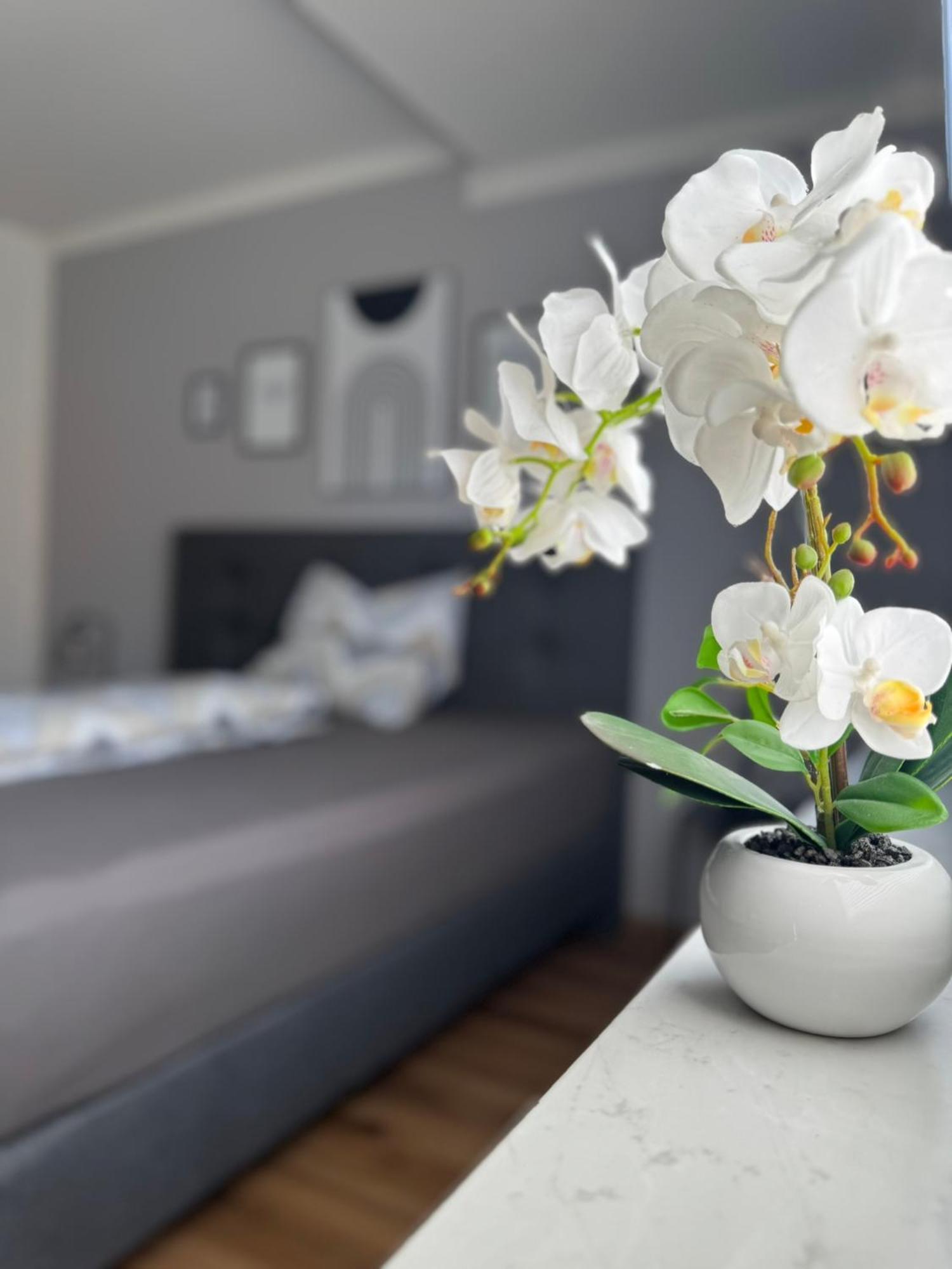 Ferienhaus Hunsrueckliebe Liederbach  Екстер'єр фото