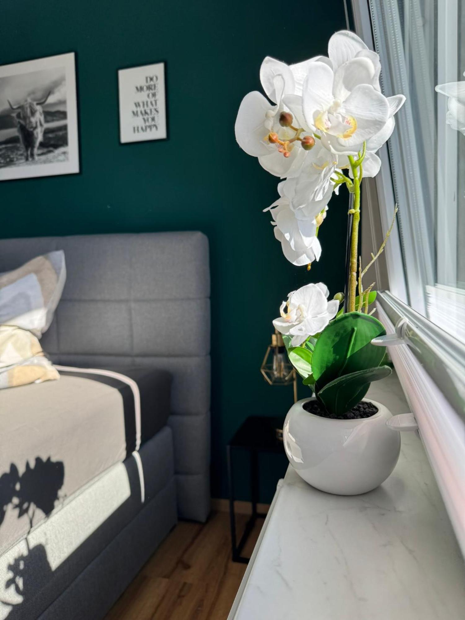 Ferienhaus Hunsrueckliebe Liederbach  Екстер'єр фото